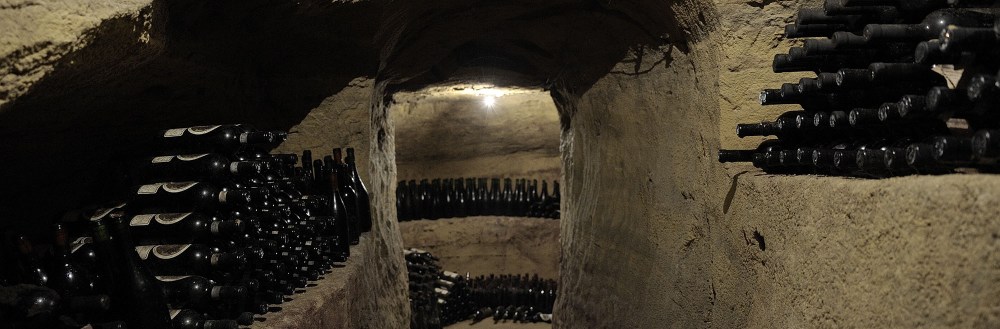 A2DE7602-CB4D-439C-878C-B4372ED6ED20